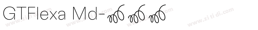 GTFlexa Md字体转换